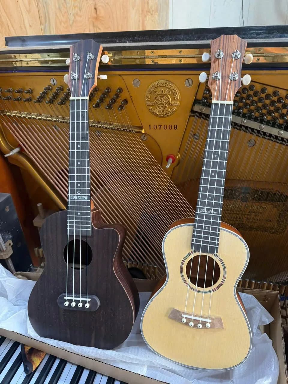 Đàn ukulele