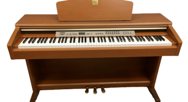 Piano BMT: Địa Chỉ Mua Đàn Piano Uy Tín, Giá Tốt Tại Buôn Ma Thuột