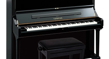 Piano BMT – Địa Chỉ Mua, Học & Trải Nghiệm Đàn Piano Uy Tín Tại Buôn Ma Thuột