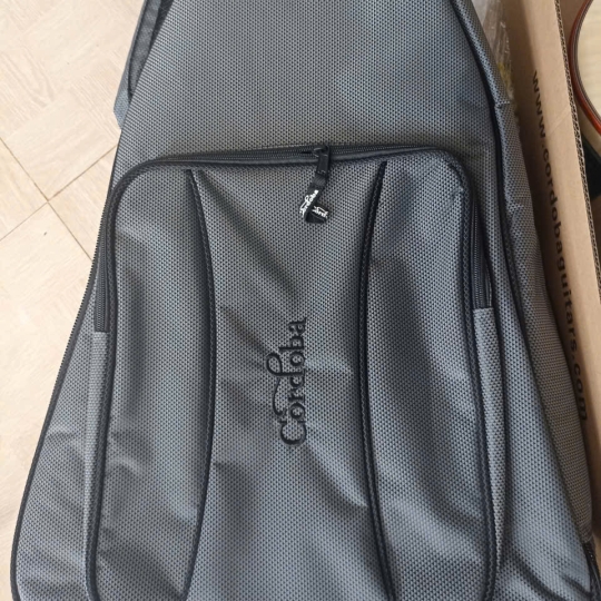 Đàn Cordoba Fusion 12 White Sands