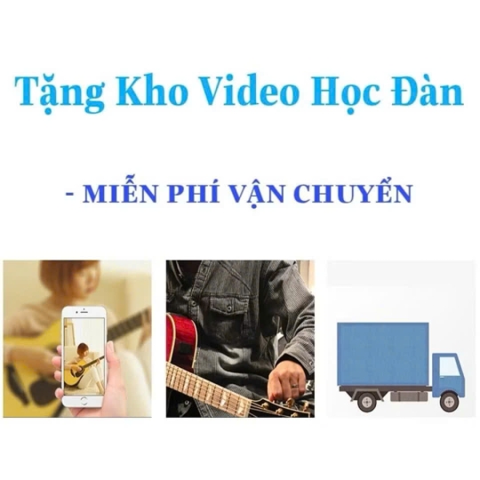 Đàn Guitar 